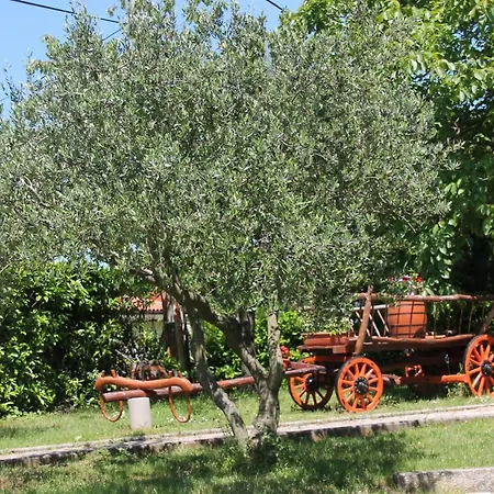 14581b *